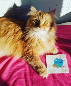 servilleta blanca personalizada 20x20